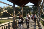 BRÜCKE von ANDAU