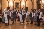 Ersten Wiener Ungarnball Fotoserie 1