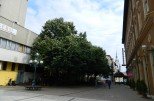 Bericht zur Erlebnisreise nach MISKOLC
