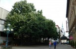 Bericht zur Erlebnisreise nach MISKOLC