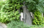 Bericht zur Erlebnisreise nach MISKOLC