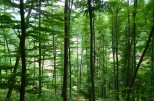 Bericht zur Erlebnisreise nach MISKOLC