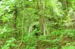 Bericht zur Erlebnisreise nach MISKOLC