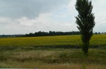 Bericht zur Erlebnisreise nach MISKOLC
