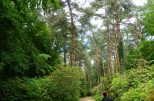 Wellness-Reise nach BAD HÉVÍZ