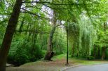 Wellness-Reise nach BAD HÉVÍZ