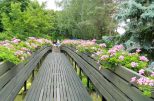 Wellness-Reise nach BAD HÉVÍZ