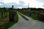 Wellness-Reise nach BAD HÉVÍZ