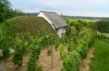 Wellness-Reise nach BAD HÉVÍZ