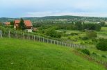 Wellness-Reise nach BAD HÉVÍZ