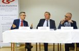 Die Kulturinstitute der V4 Staaten