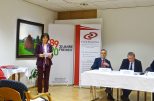 Die Kulturinstitute der V4 Staaten